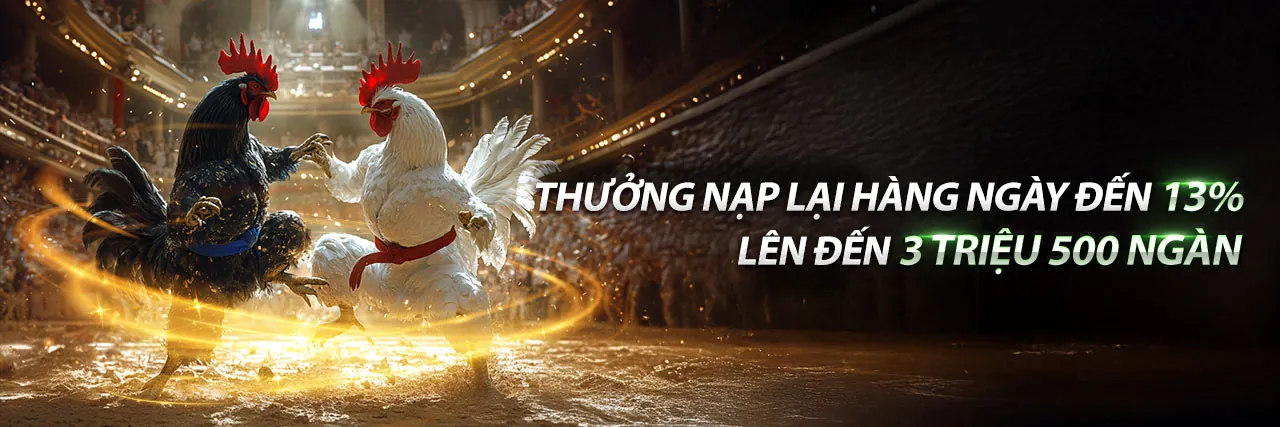 Ứng dụng Fly88 trên điện thoại di động